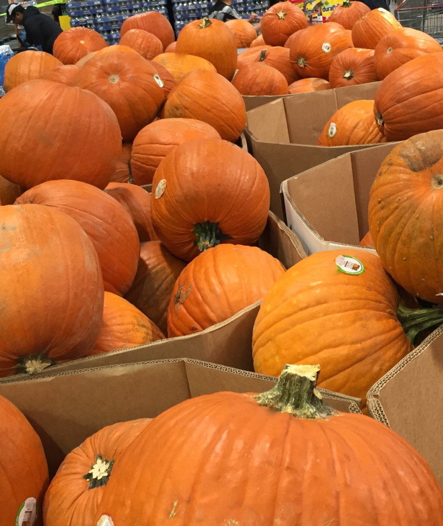 Pumpkins at Costo